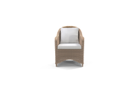 BAOLI DINING CHAIR