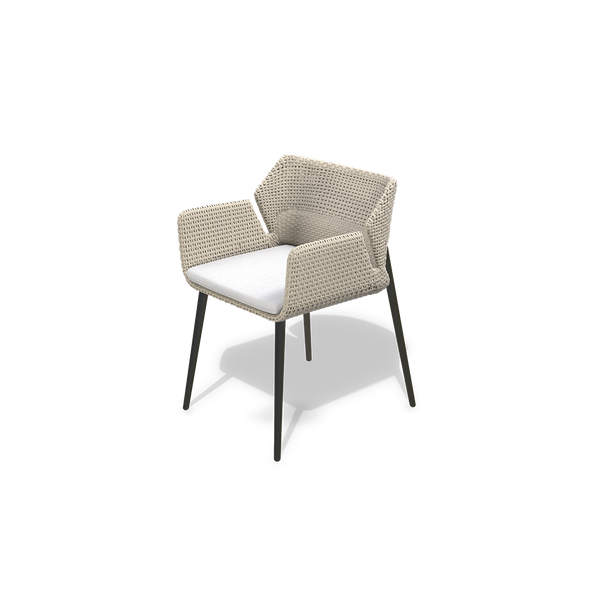 KAOLI DINING CHAIR