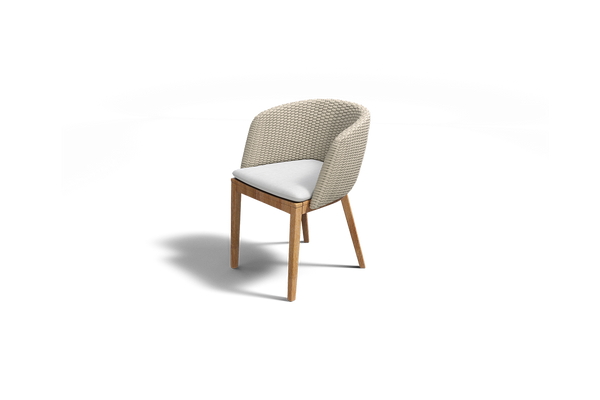 MOMENTUM DINING CHAIR