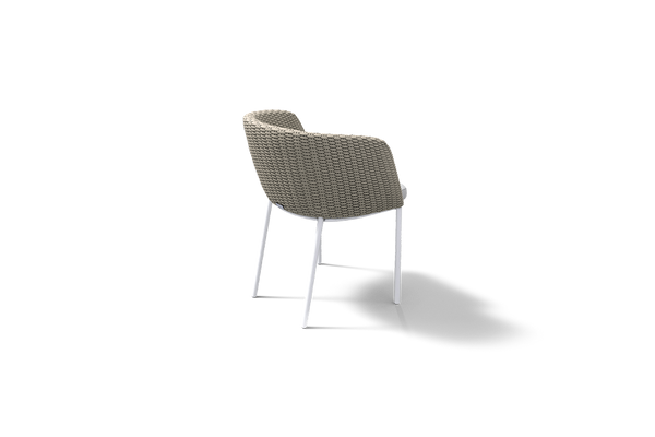 MOMENTUM DINING CHAIR