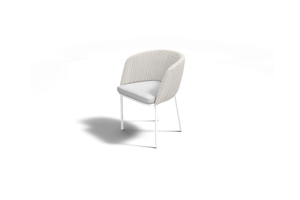 MOMENTUM DINING CHAIR