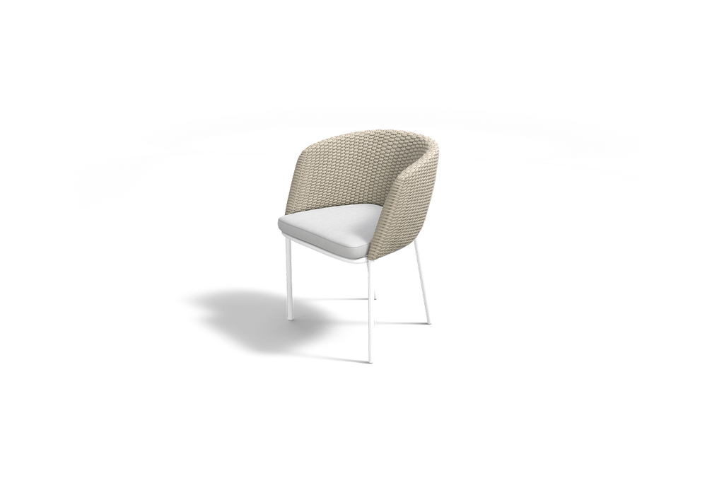 MOMENTUM DINING CHAIR