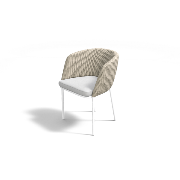 MOMENTUM DINING CHAIR