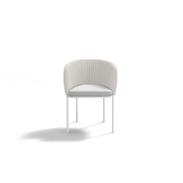 MOMENTUM DINING CHAIR
