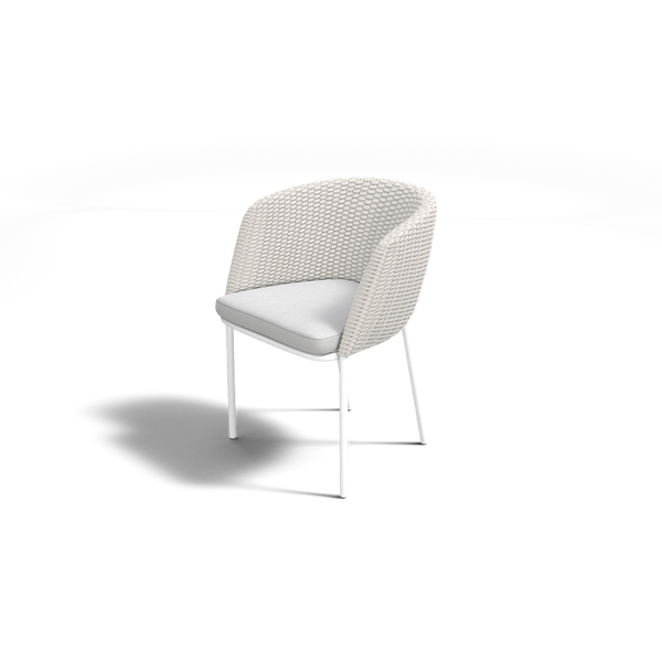 MOMENTUM DINING CHAIR