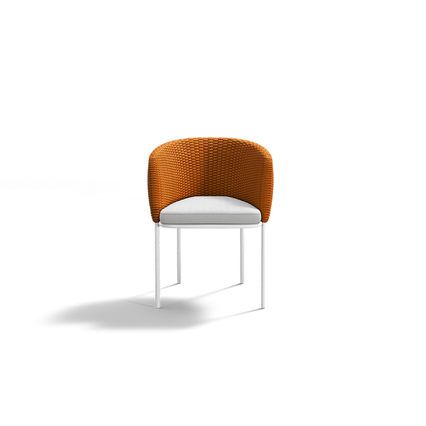 MOMENTUM DINING CHAIR