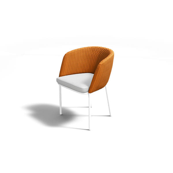 MOMENTUM DINING CHAIR