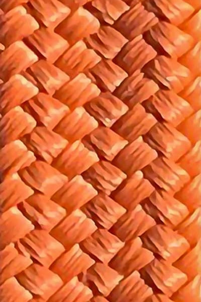 Burnt Orange